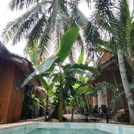 Ecostay Panglao Resort Hotel-3